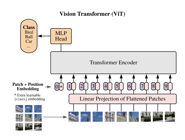 Visual Transformer