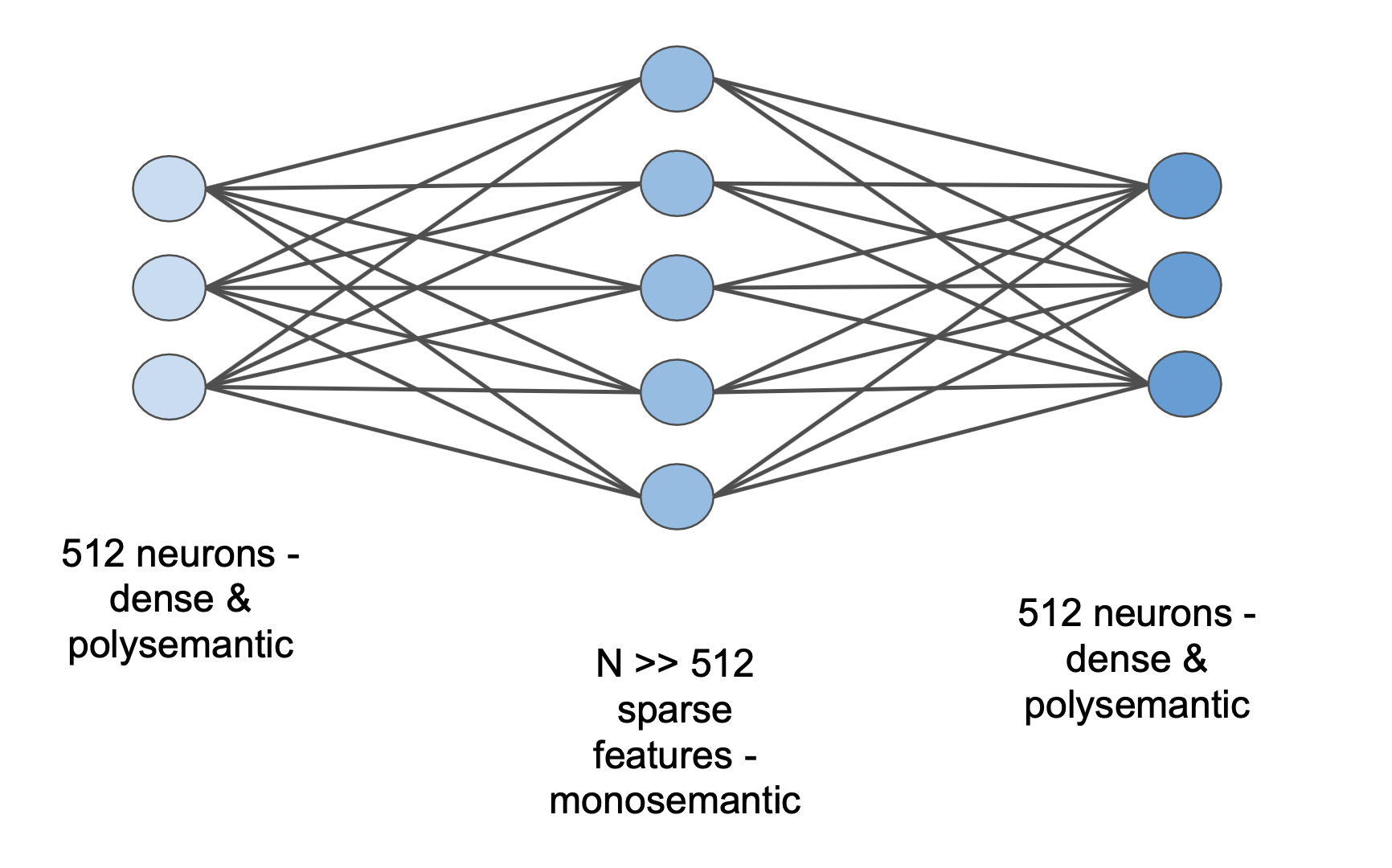 Sparse Autoencoder